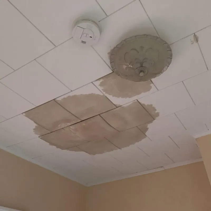 Ceiling Water Damage Repair in Calumet City, IL