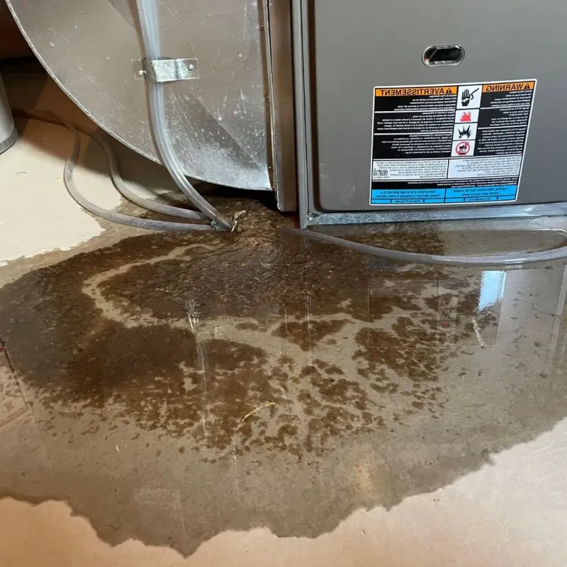 Pipe Burst and Leak Restoration in Calumet City, IL