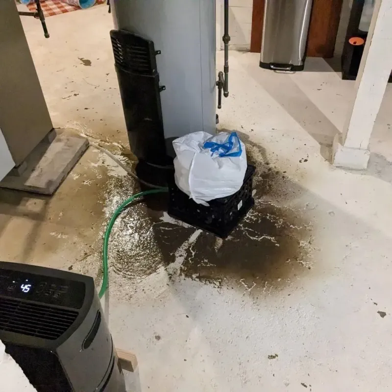 Sewage Backup Cleanup Service in Calumet City, IL
